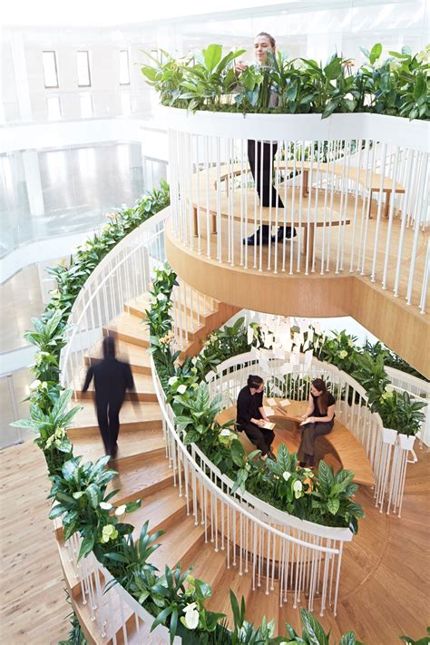living staircase adds  natural element   london office