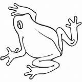 Rana Colorare Frosch Disegni Frogs Anfibi Bambini Rane Supercoloring Dall Ausmalbilder Outline Immagini Rainforest Animali Toad Disegnidacolorare Clipartmag Categorie Google sketch template