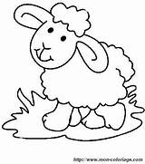 Schafe Sheep Eid Mammals Ordnung Webbrowser Genügt Benutzen Anderen Alles Wird sketch template