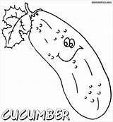 Cucumber Cucumbers Coloringbay sketch template