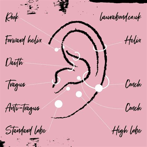 curated ear piercing diagram ear trends  ear piercings ear piercings