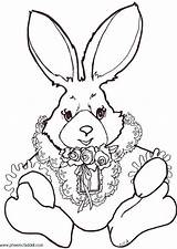 Kaninchen Ausmalbilder Malvorlage Herunterladen Große sketch template