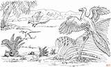 Archaeopteryx Coloring Compsognathus Pages Color Printable Click Designlooter Online Dinosaurs Drawing sketch template