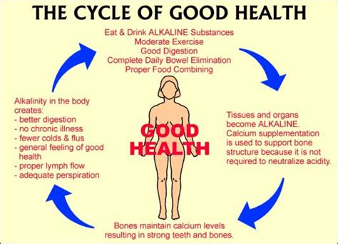 cycle health cycle