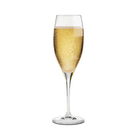 gallery  champagne glass