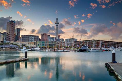 complete business travellers guide  auckland travel insider
