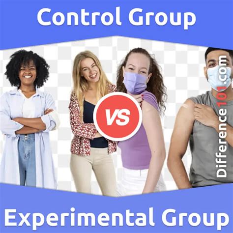 control group  experimental group  key differences pros cons
