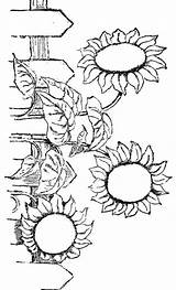 Sunflowers Mandala Karenswhimsy sketch template