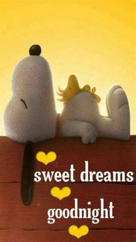 Good Night Sweet Dreams Snoopy Bye