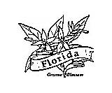 Coloring State Pages Flower Florida Flowers Kids sketch template
