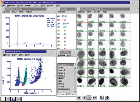 Part2 Gyno Cytobrush Smear Anal Ultrasound – Telegraph