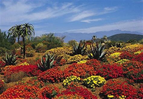 ¡los 6 Jardines Más Coloridos Y Deslumbrantes Del Mundo Beautiful