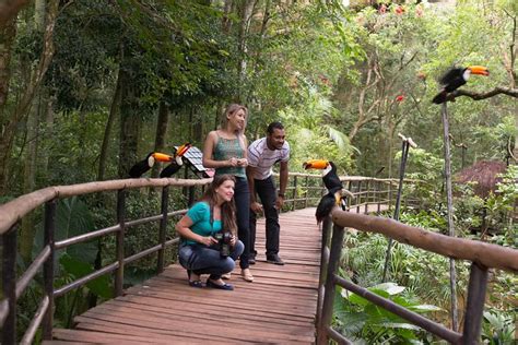 2023 bird park and iguassu brazilian side private tour