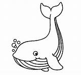 Whale Coloring Little Coloringcrew Book Pages Animals Drawing Printable sketch template