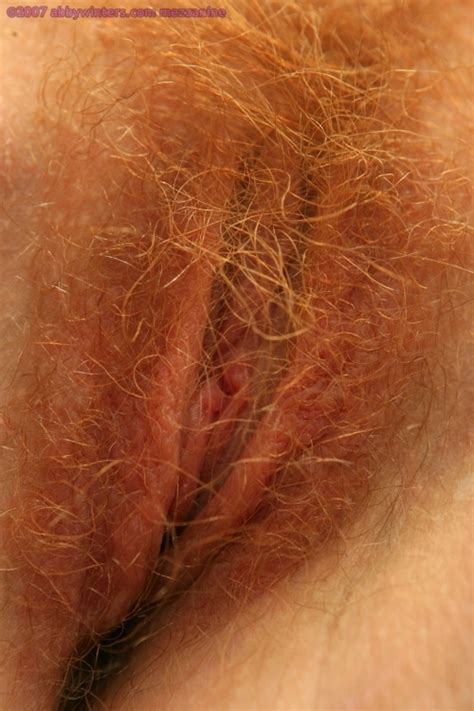 Hairy Ginger Cunt Lickit100