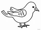 Lente Kleurplaten Vogels Uitprinten Downloaden sketch template