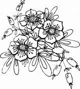 Ausmalen Blumenmotive Blumenmotiv Stickerei Kostenlose Besuchen sketch template