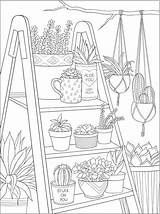 Succulents Desenhos Succulent Dover Kolorowanki Houseplant Local Worksheets sketch template