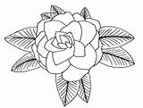 Camellia Coloring Flower Alabama Drawing Pages State Draw Drawings Printable Color Paintingvalley Visit Choose Board Printables sketch template