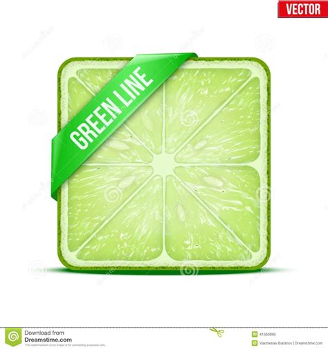square slice of lime green line vector stock vector illustration of nature healthy 41563895