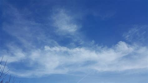 kostenloses foto zum thema blauer himmel heller tag wolkige himmel