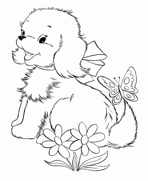kitten  puppy coloring pages  print coloring home