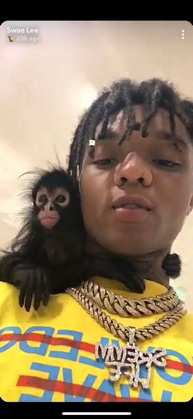 swae lees pet monkey reportedly seized   police dreddsworld entertainment redefined