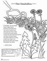 Coloring Dandelion Poem Poems Vachel Lindsay Pages Flower Color Getdrawings Getcolorings sketch template