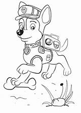 Paw Patrol Coloring Kids Pages Sheets sketch template