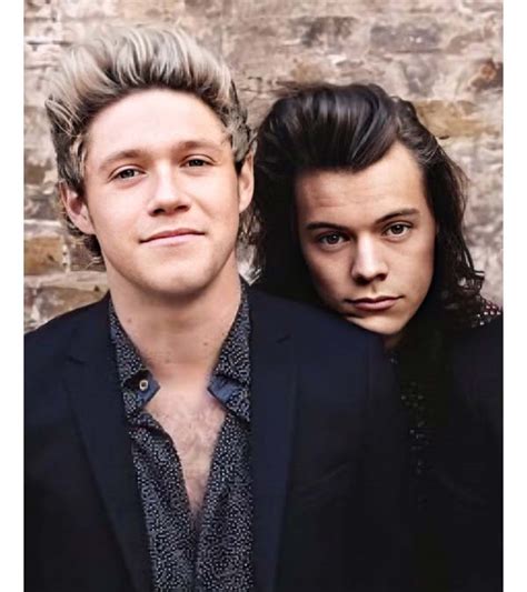 Harry Styles And Niall Horan One Direction Paint By