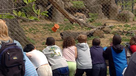 field trips  maryland zoo