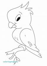 Fish Parrot Coloring Pages Printable Getcolorings Getdrawings sketch template