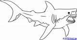 Megalodon Shark Requins Tiburones Coloriages 1437 Azules Bleus sketch template