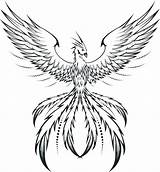 Phoenix Coloring Pages Tattoo Drawing Bird Line Behance Simple Adults Mosaic Silhouette Drawings Printable Tattoos Pheonix Men Color Draw Tribal sketch template