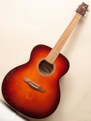 string acoustic guitar ebay