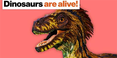 yes dinosaurs had feathers—and they re still alive big