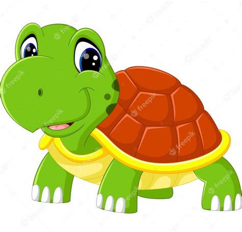 premium vector cute turtle cartoon