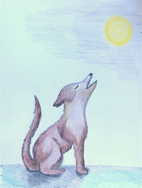 simple coyote drawing