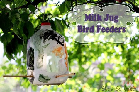 Milk Jug Bird Feeder Urbanmoms