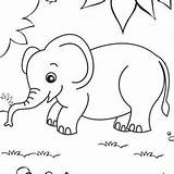 Elephant sketch template