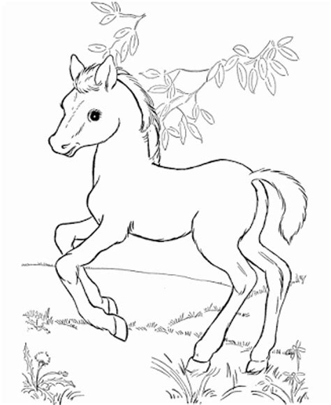 cute horse coloring pages  getcoloringscom  printable