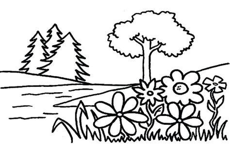 coloring pages trees plants  flowers  getcoloringscom