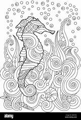 Sea Under Seahorse Sketch Zentangle Drawn Inspired Hand Alamy sketch template