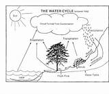 Cycle Water Worksheet Diagram Grade 5th Printable Answer Coloring Key Worksheeto Via Pinelands Potter Pinned Linda sketch template