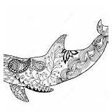 Dolphin Zentangle Colouring Vector Coloring Pages sketch template