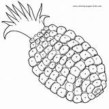 Coloring Pages Fruits Color Fruit Printable Food Kids Nature Pineapple Sheets Sheet Plate Found sketch template