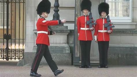 royal guard takes  tumble cbbc newsround