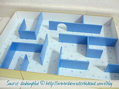 hamster maze   maze ing diy hamster maze wiffy gal flickr