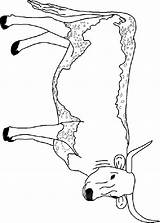 Koe Cow Kleurplaten Kuh Vaches Mewarnai Coloriage Vache Mucche Sapi Coloriages Animasi Longhorn Animaatjes Bergerak Gify Malvorlagen Mucca Kolorowanki Krowy sketch template