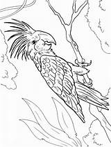 Macaw Coloring Pages Printable Birds Color Getcolorings Getdrawings Recommended sketch template